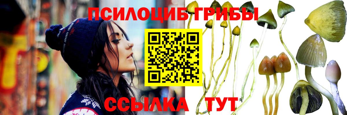 Гурьевск  Галлюциногенные грибы Psilocybe  Псилоцибиновые грибы мухоморы  Вход с VPN 